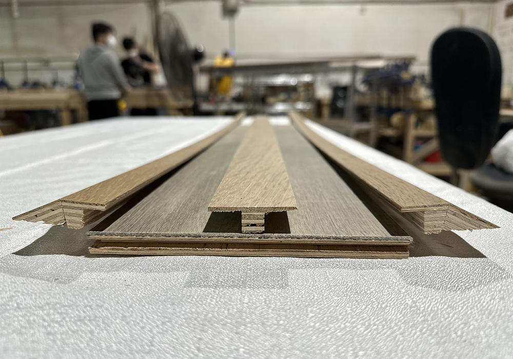 Transitions T Mould & Reducer